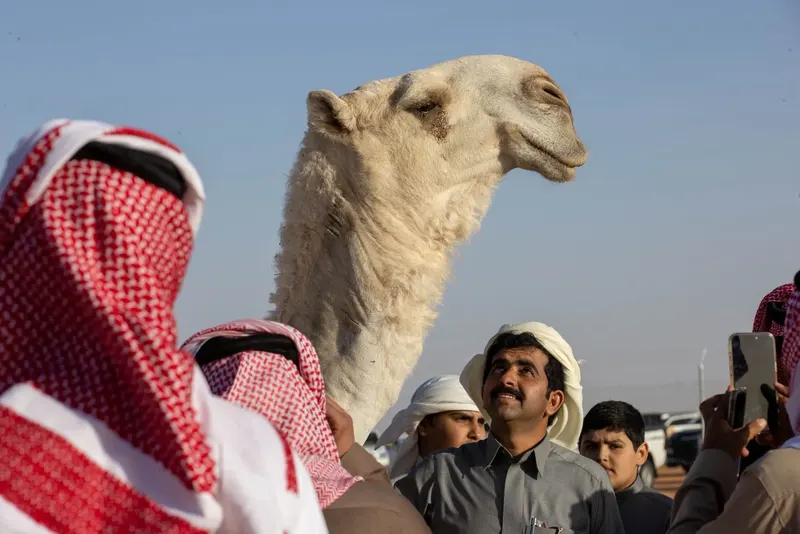 بيرق الموحد