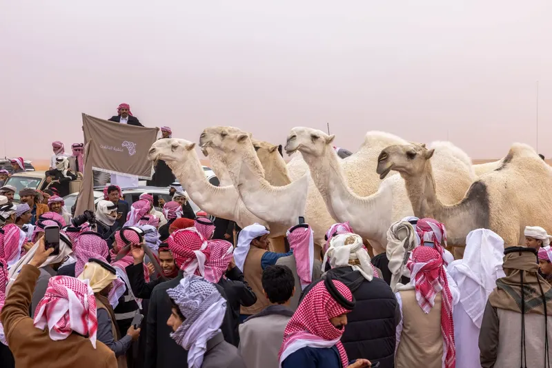 فردي الجل