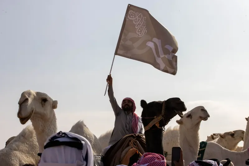 فردي الجل