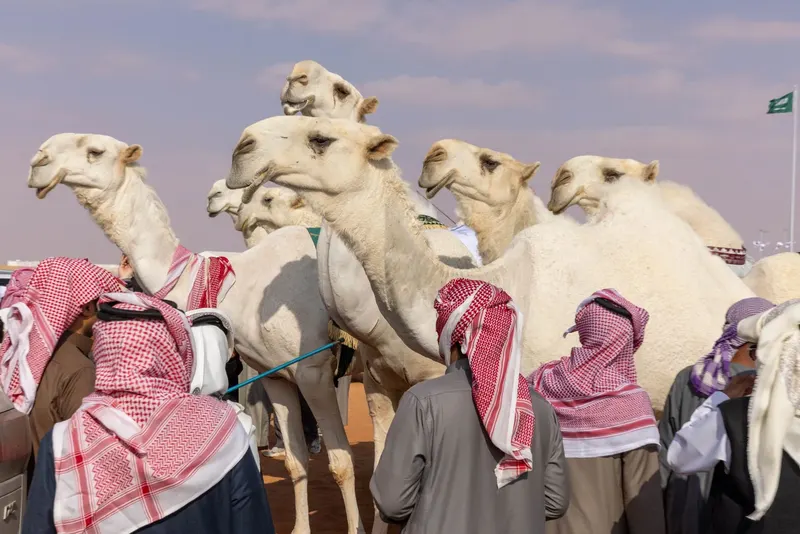 فردي الجل