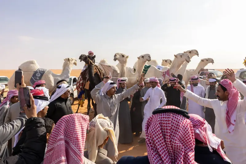 فردي الجل
