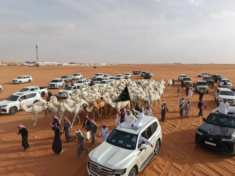 بيرق الموحد ونخبة النخبة