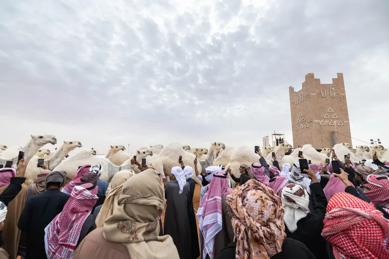 بيرق الموحد ونخبة النخبة
